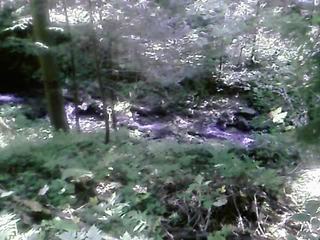 Blog_4200835a2f871012