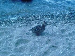 Blog_57d85a1c6341d091