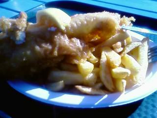 Blog_6fcf952ccff17c32