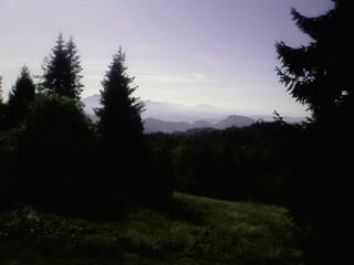 Blog_7866b5b778ff1753