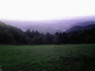 Blog_7e88a52a7ad5549e