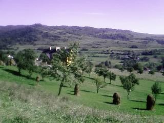 Blog_913712979631c441