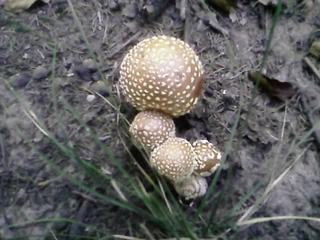 Blog_a66507aabed25f42