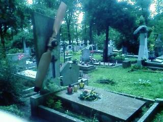 Blog_a672aa1d2a0263cb