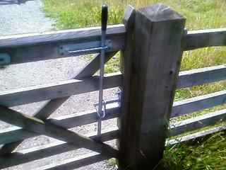 Blog_ce18ea01822a13f5