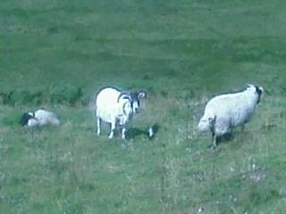 Blog_d273f3b9d0908836